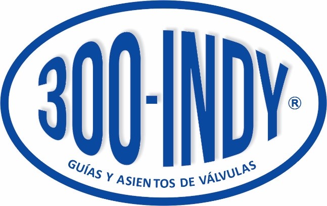 LOGO 300 INDY
